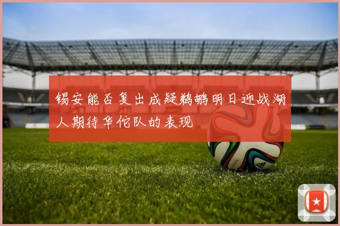 锡安能否复出成疑鹈鹕明日迎战湖人期待华佗队的表现